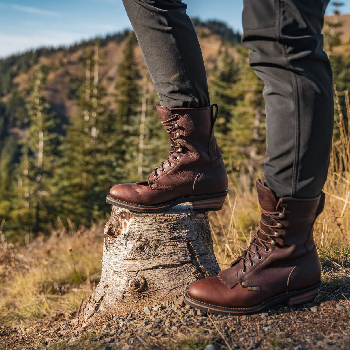 AdTec Men's Chestnut Packer Boot